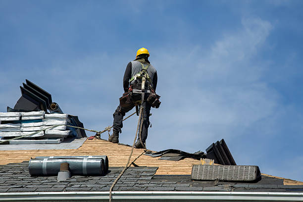 Professional Flat Roof Repair technician working in Fox River Grove, IL
